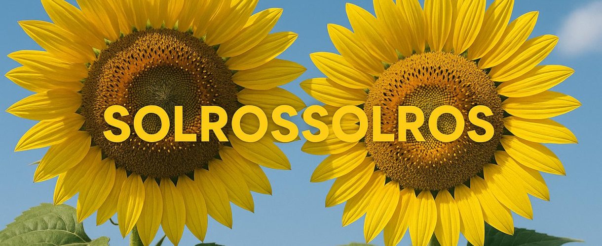 Solros