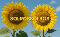 Solros